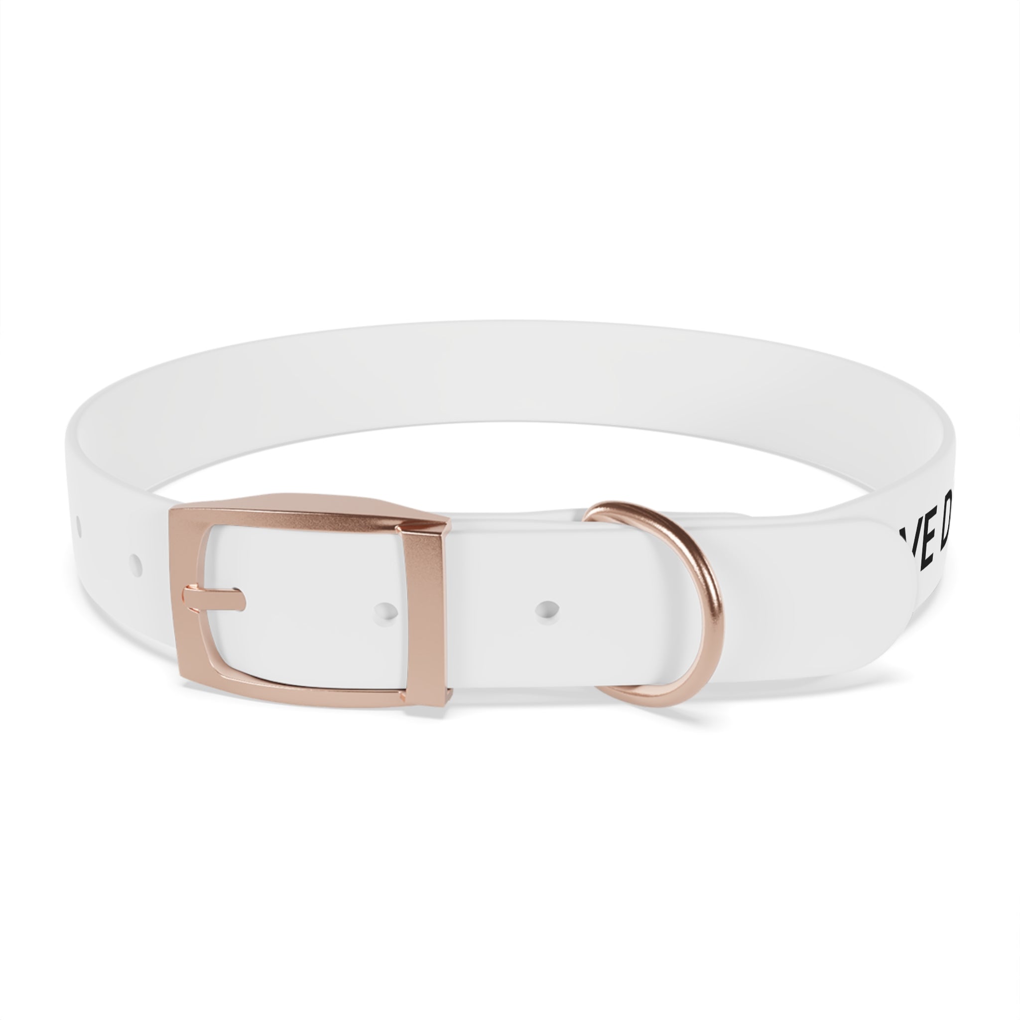 Love Died Loving Me - White Dog Collar