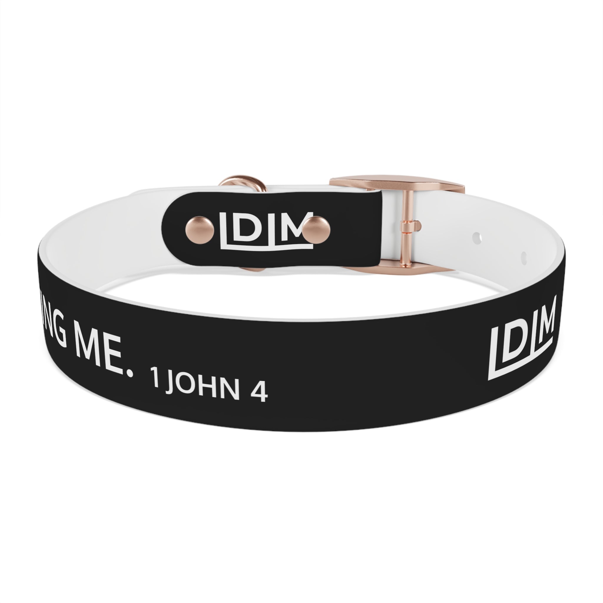 Love Died Loving Me - Black Dog Collar