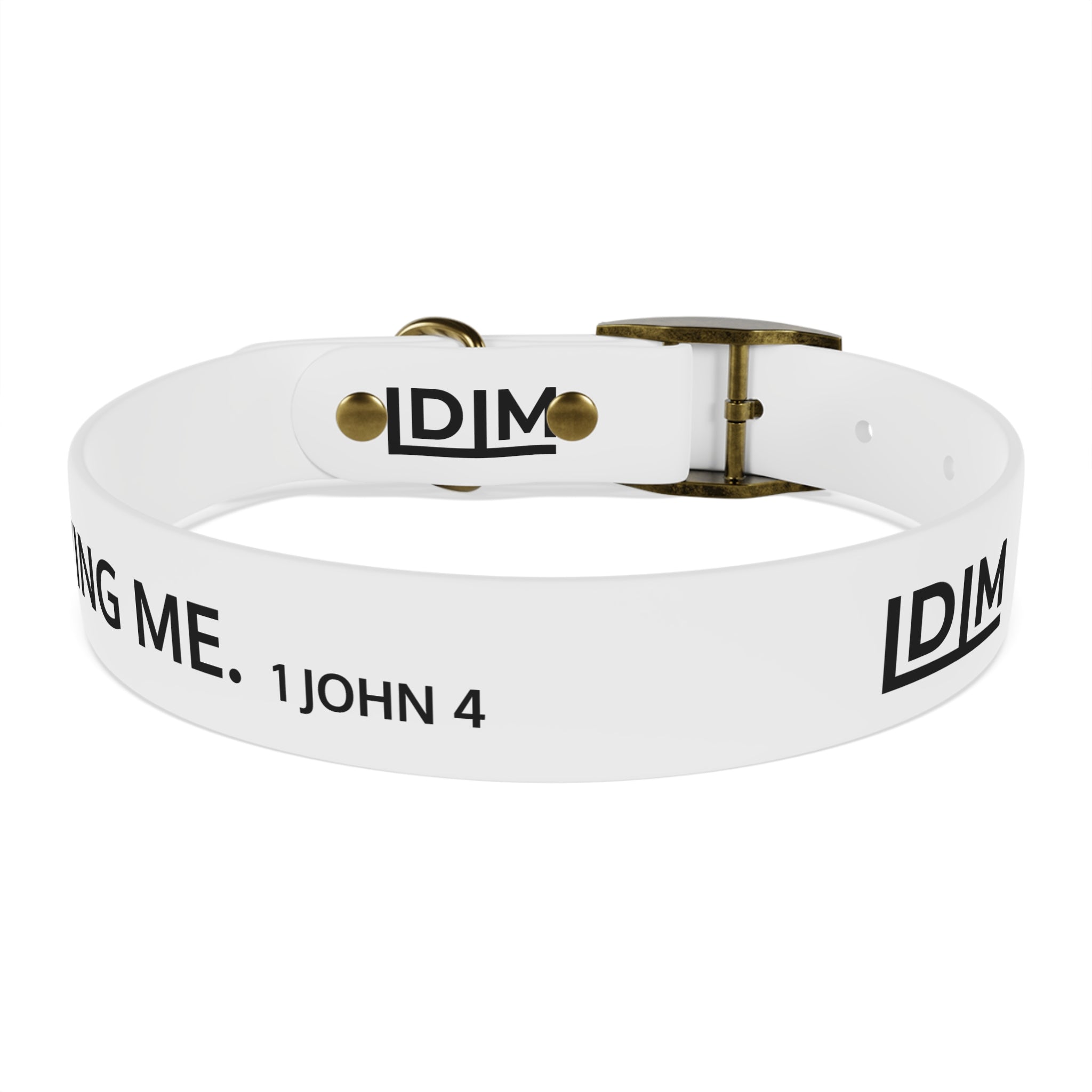 Love Died Loving Me - White Dog Collar