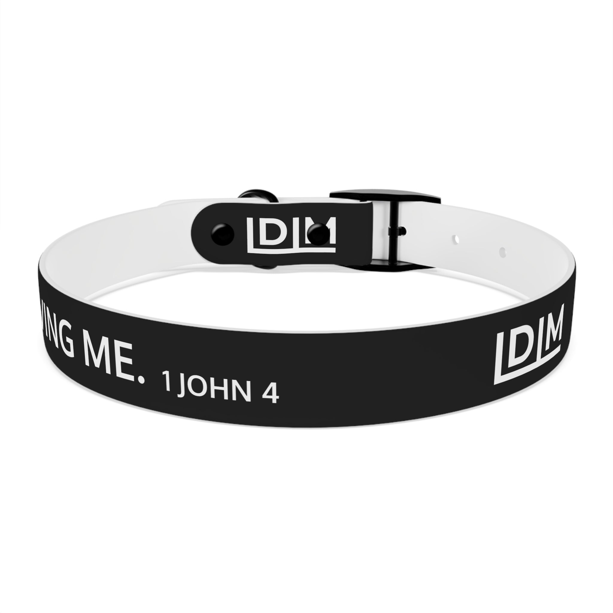 Love Died Loving Me - Black Dog Collar