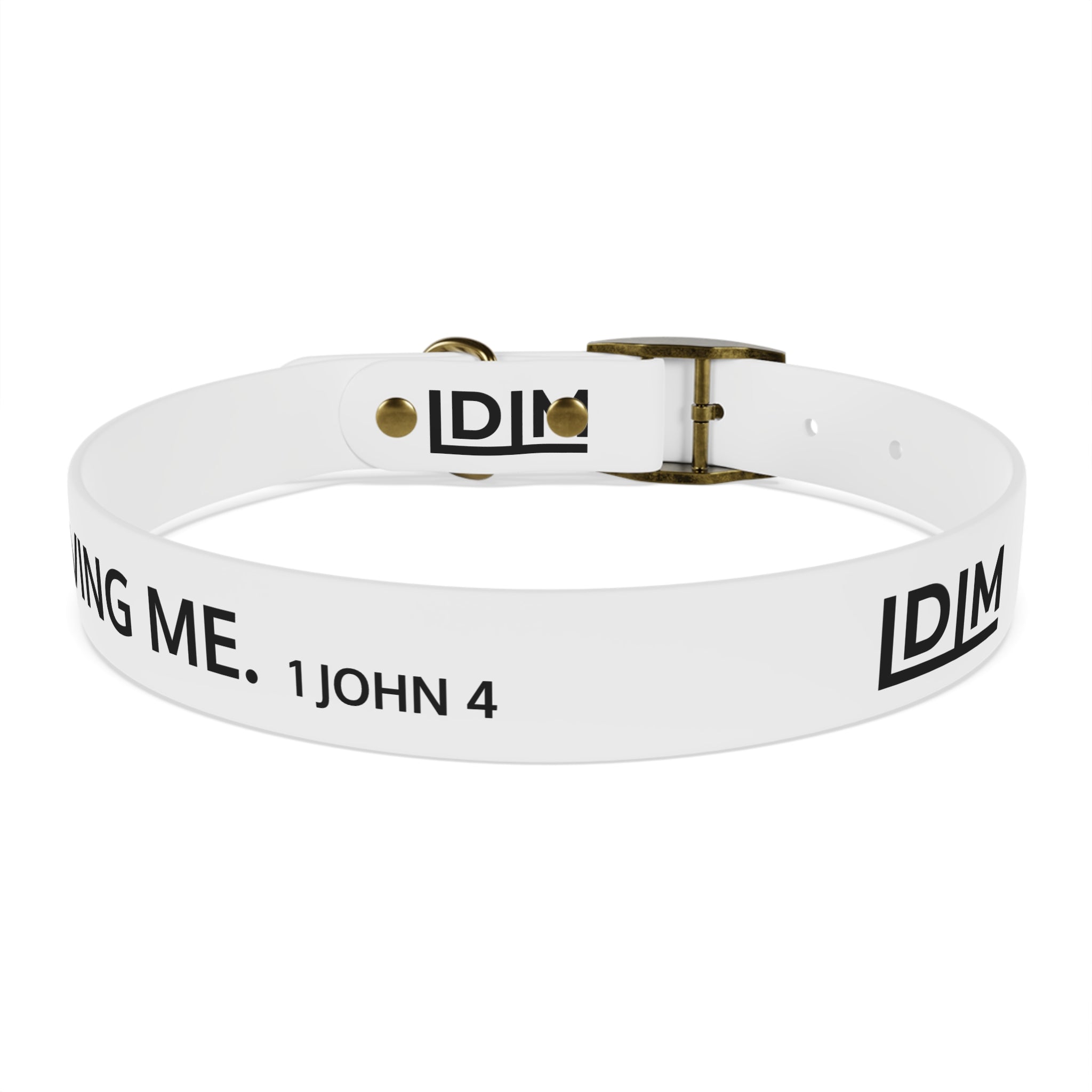 Love Died Loving Me - White Dog Collar