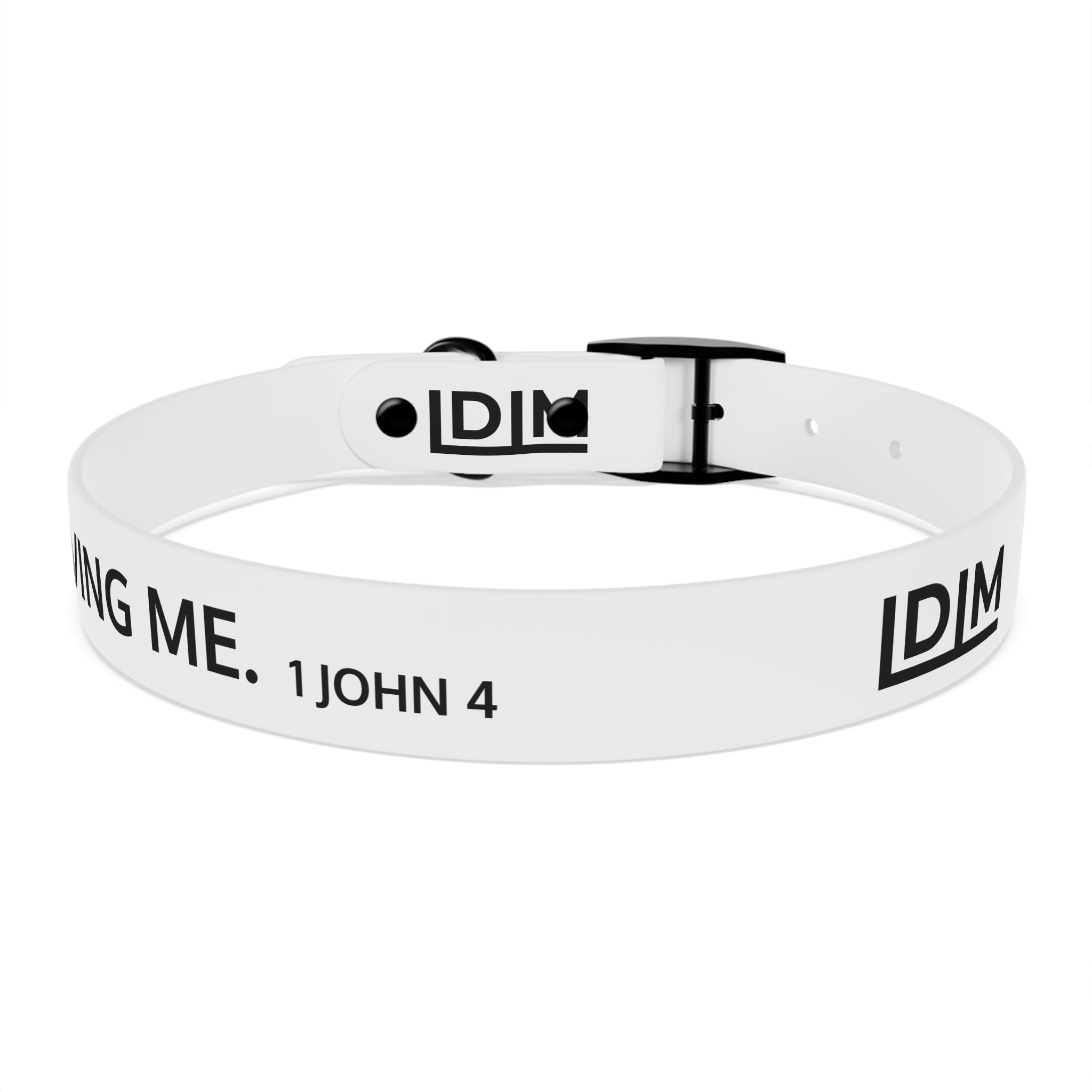 Love Died Loving Me - White Dog Collar