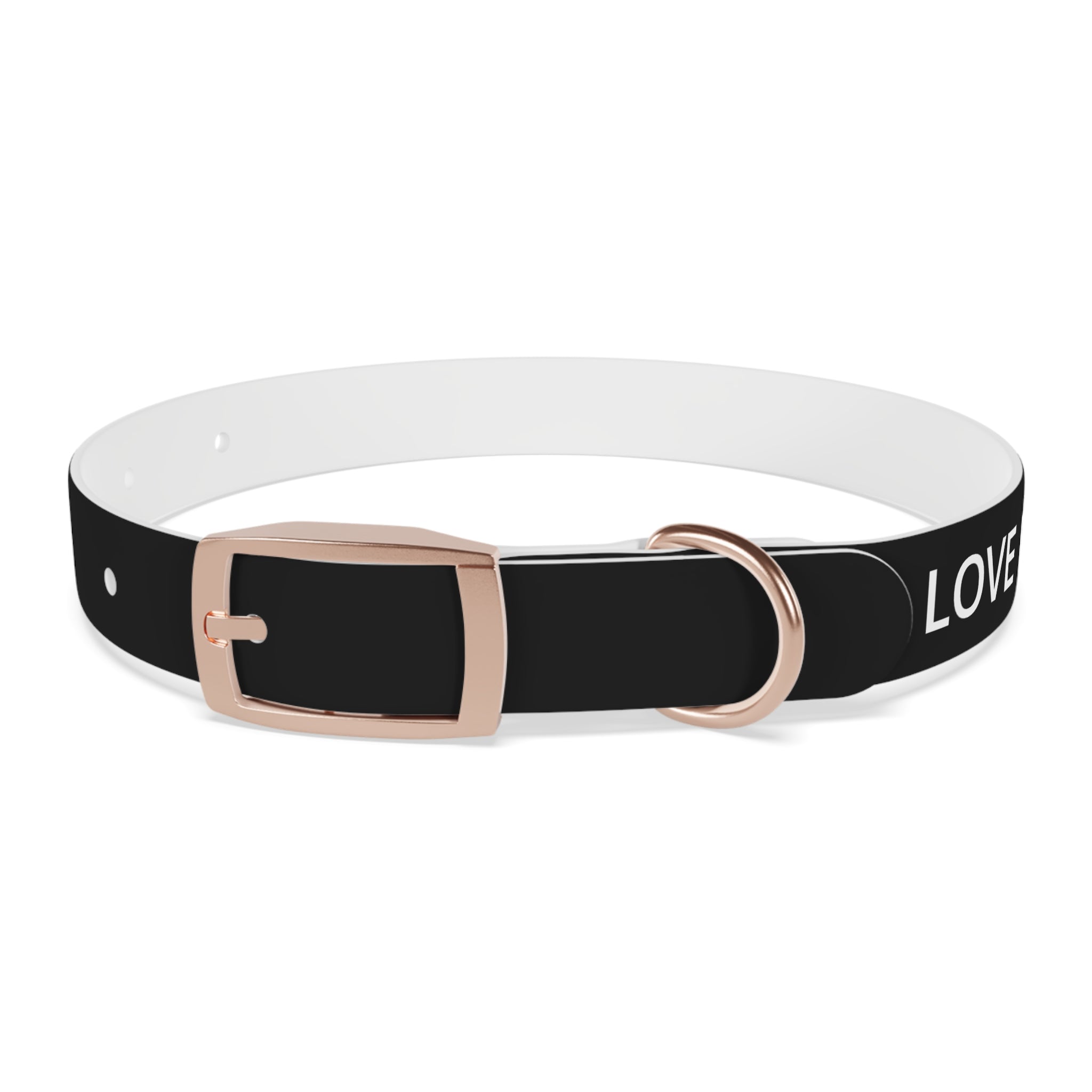 Love Died Loving Me - Black Dog Collar