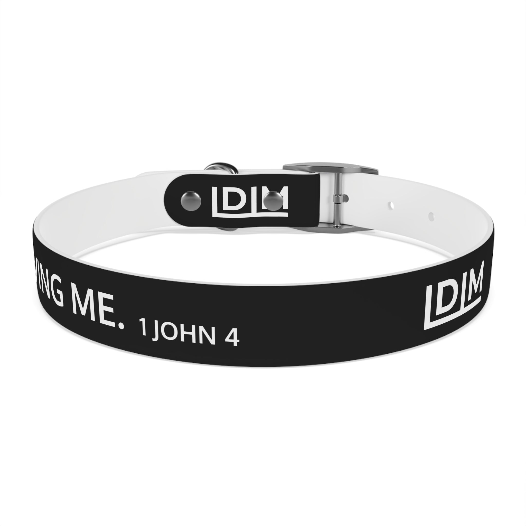 Love Died Loving Me - Black Dog Collar