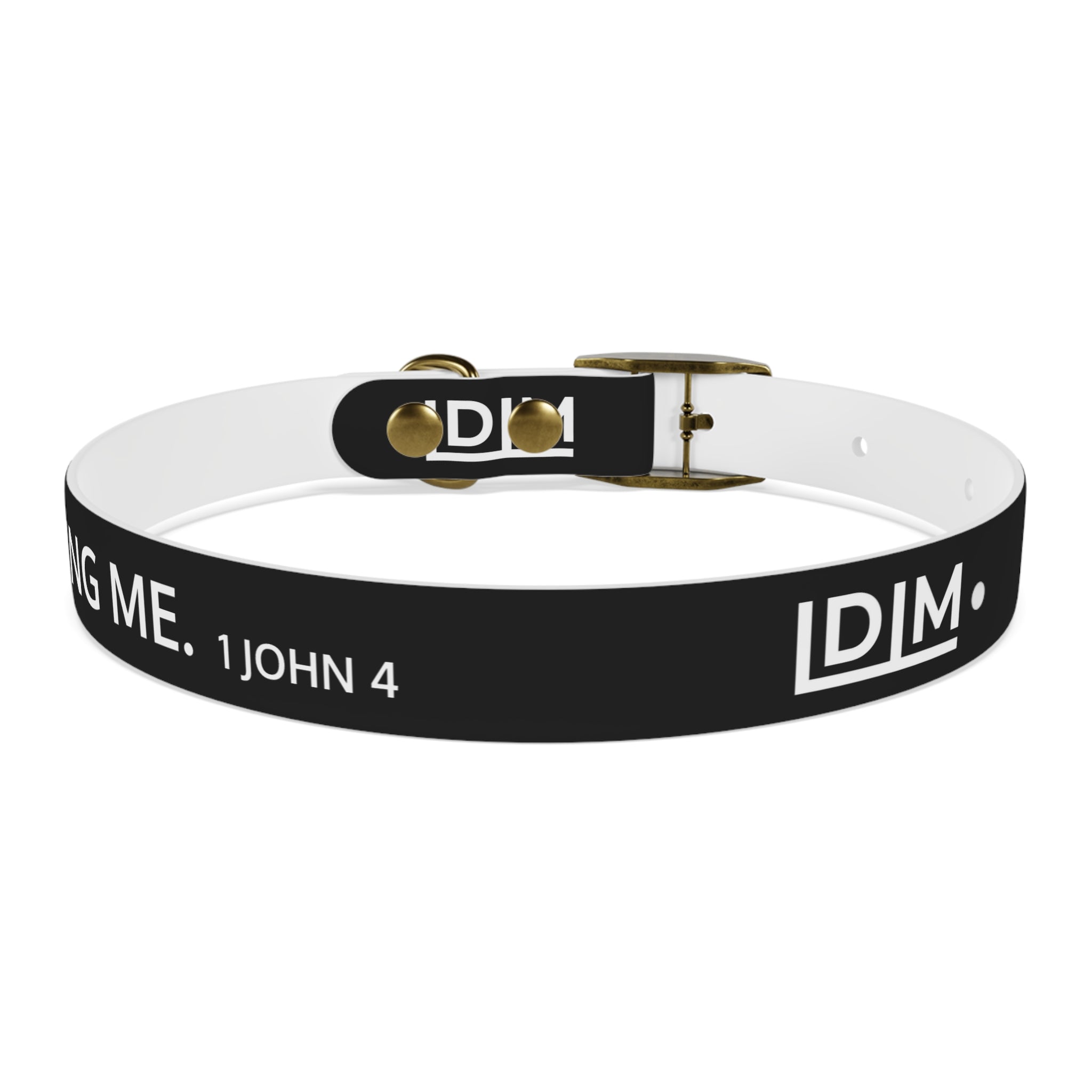 Love Died Loving Me - Black Dog Collar