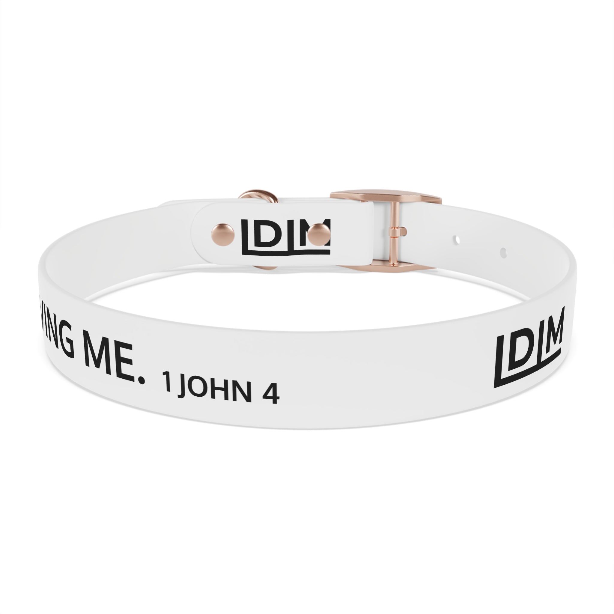 Love Died Loving Me - White Dog Collar