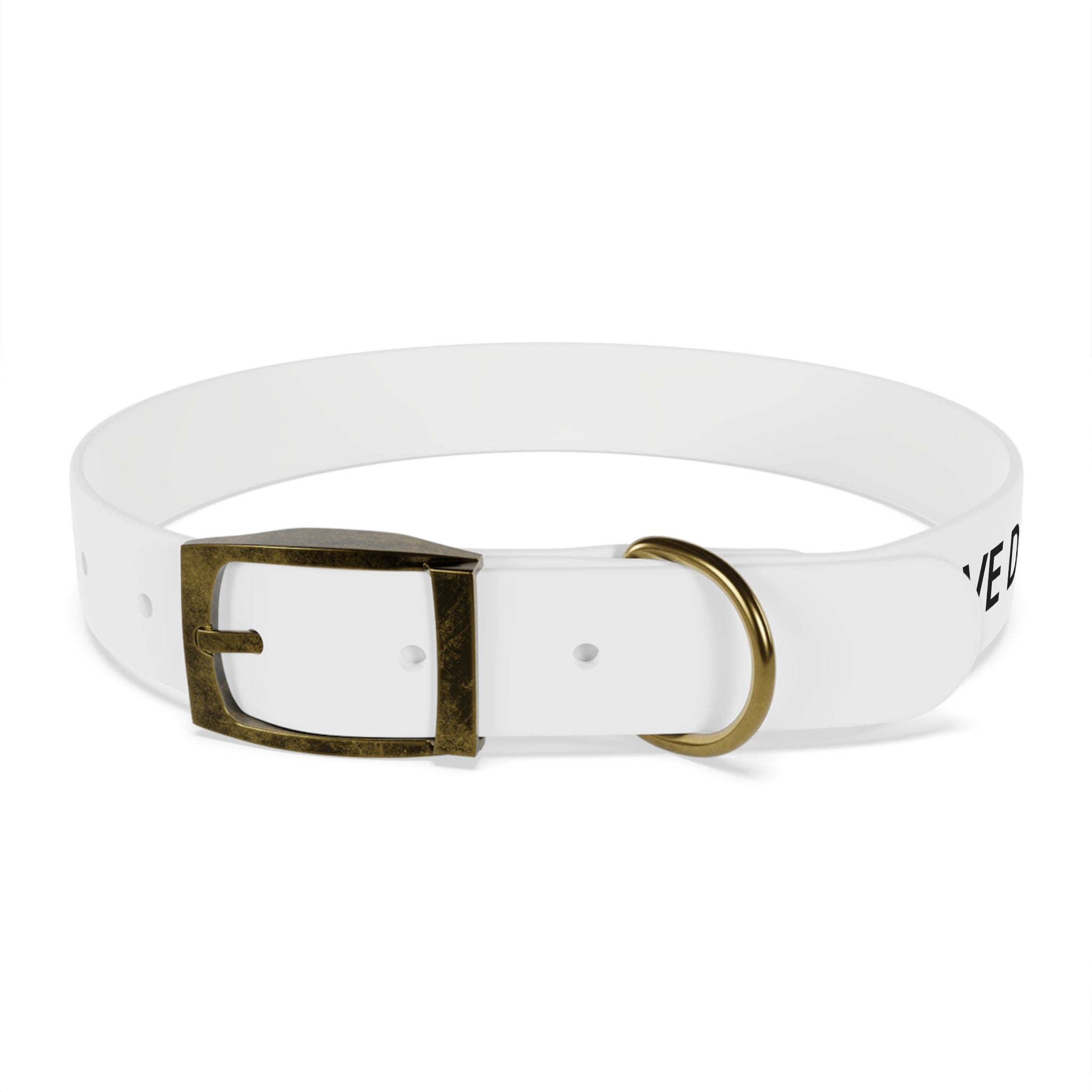 Love Died Loving Me - White Dog Collar