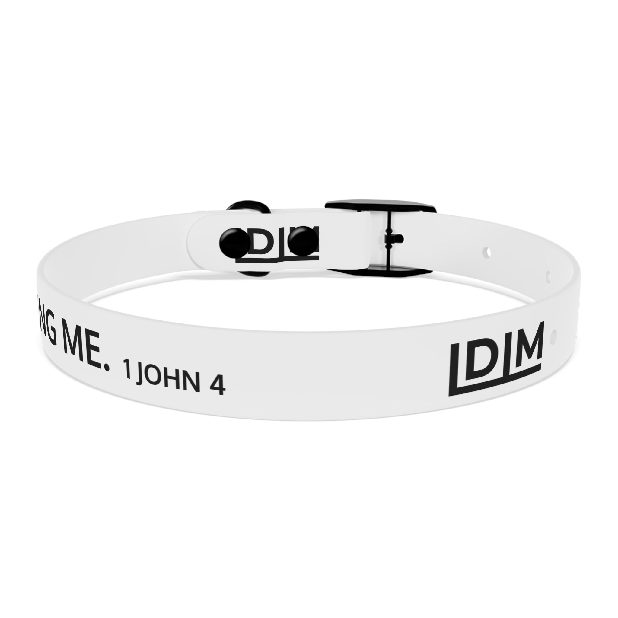 Love Died Loving Me - White Dog Collar