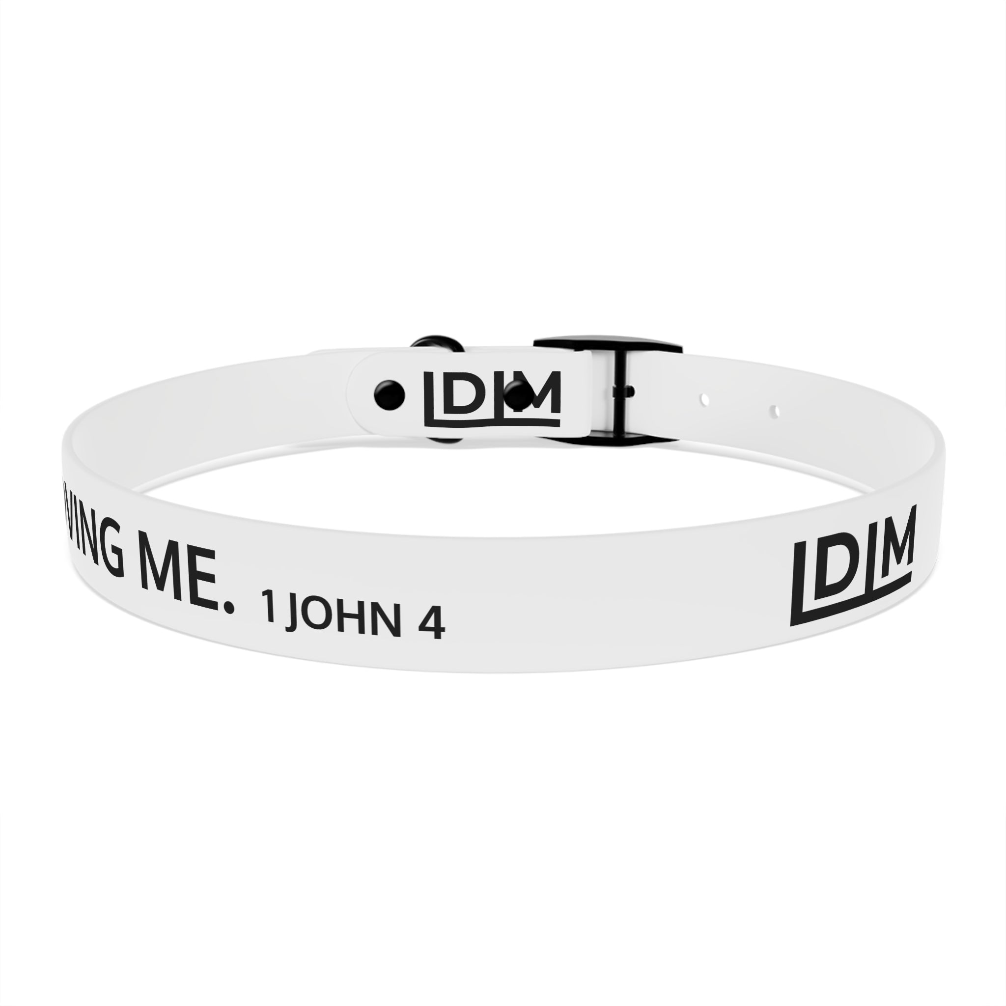 Love Died Loving Me - White Dog Collar