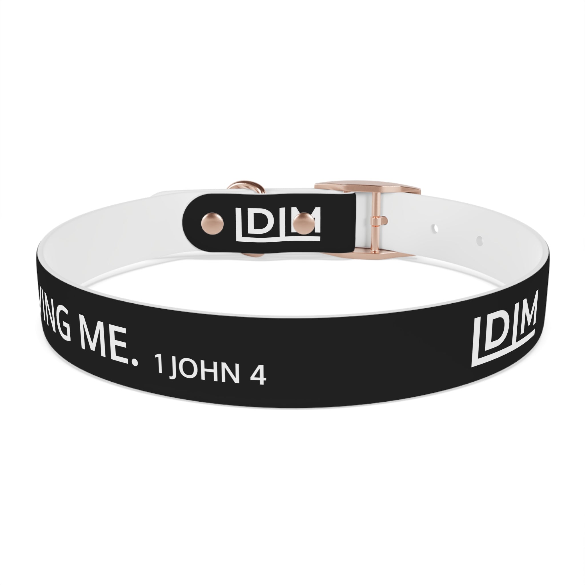 Love Died Loving Me - Black Dog Collar