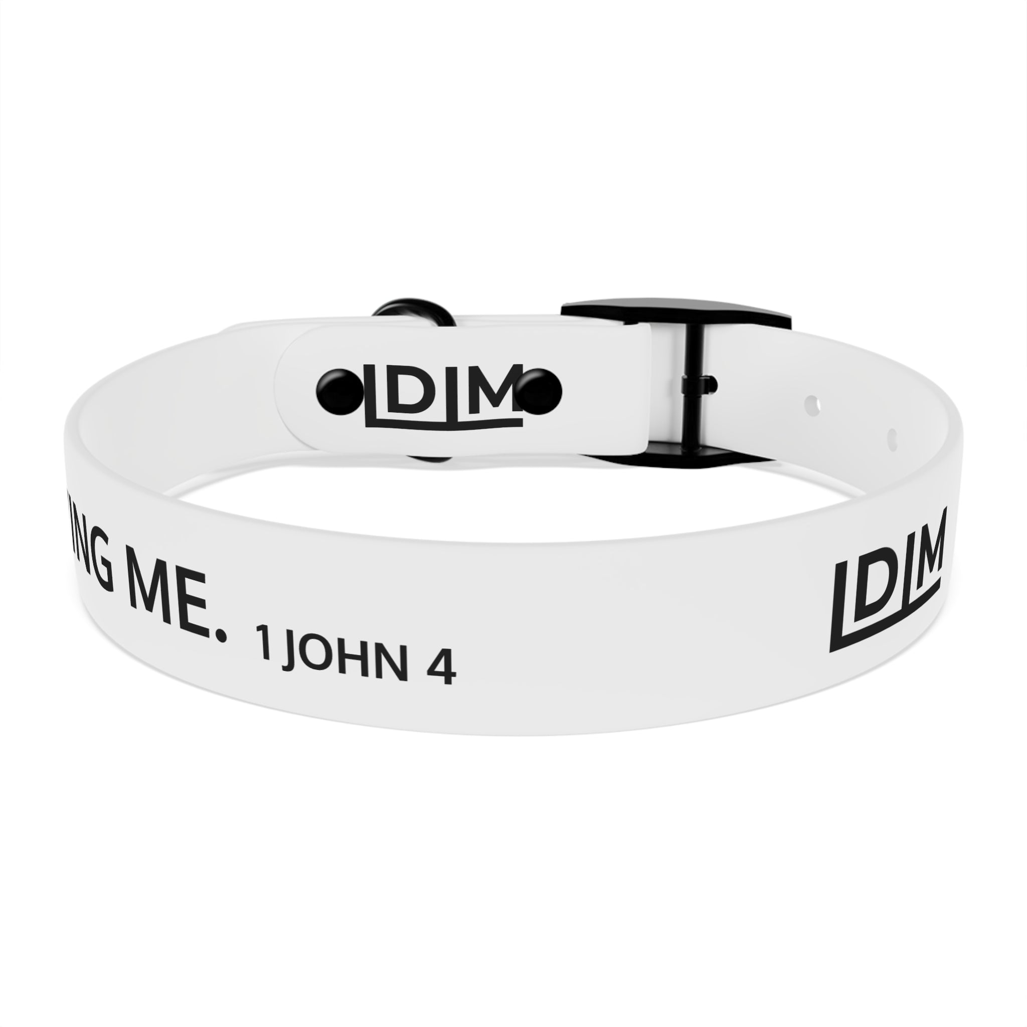 Love Died Loving Me - White Dog Collar