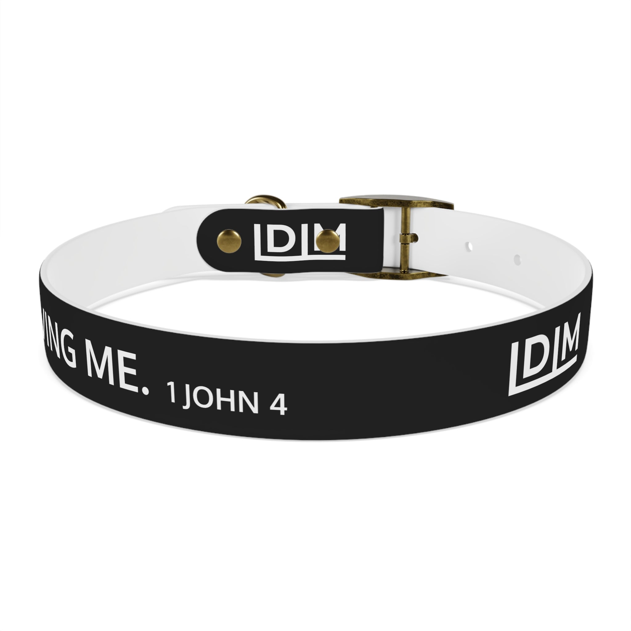 Love Died Loving Me - Black Dog Collar