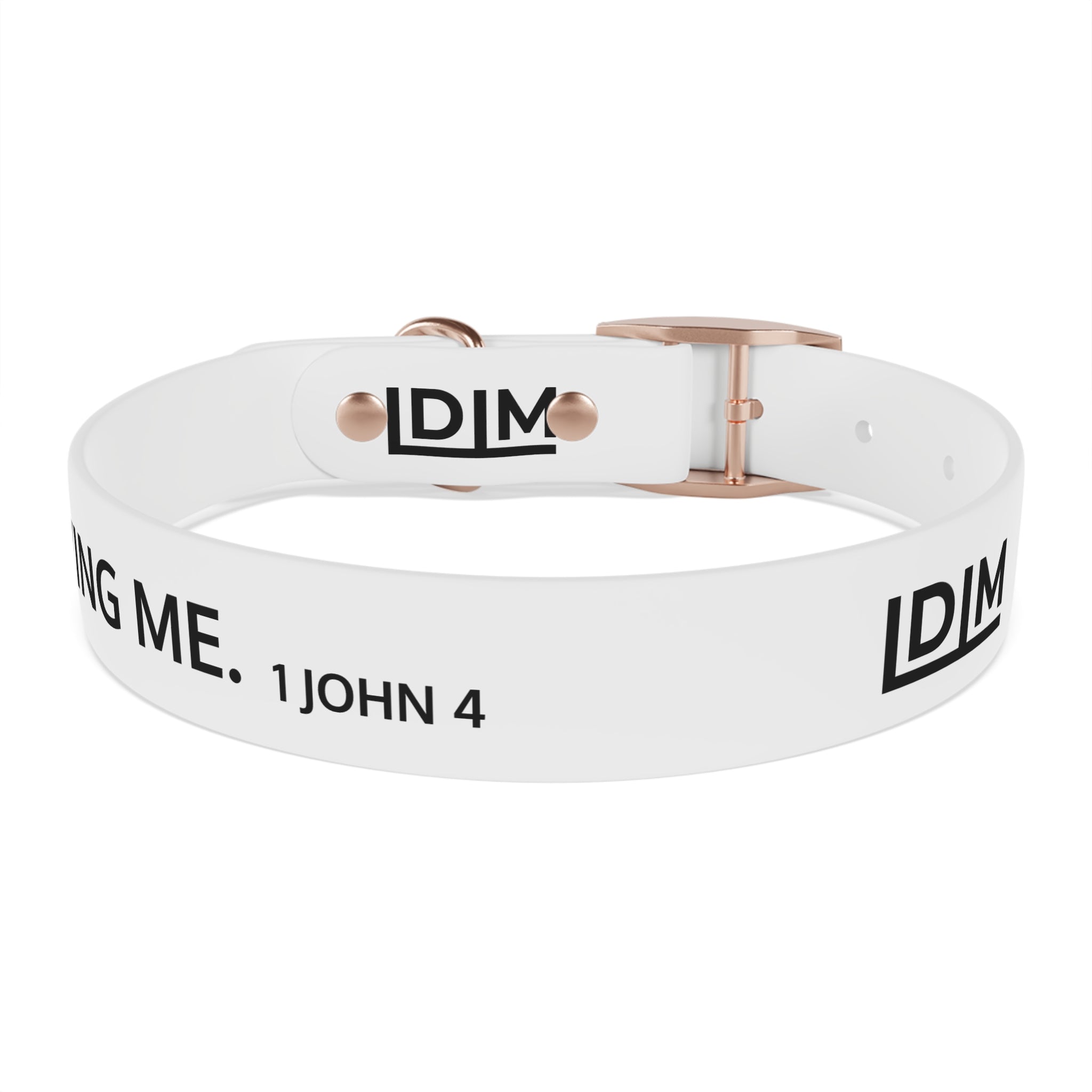 Love Died Loving Me - White Dog Collar