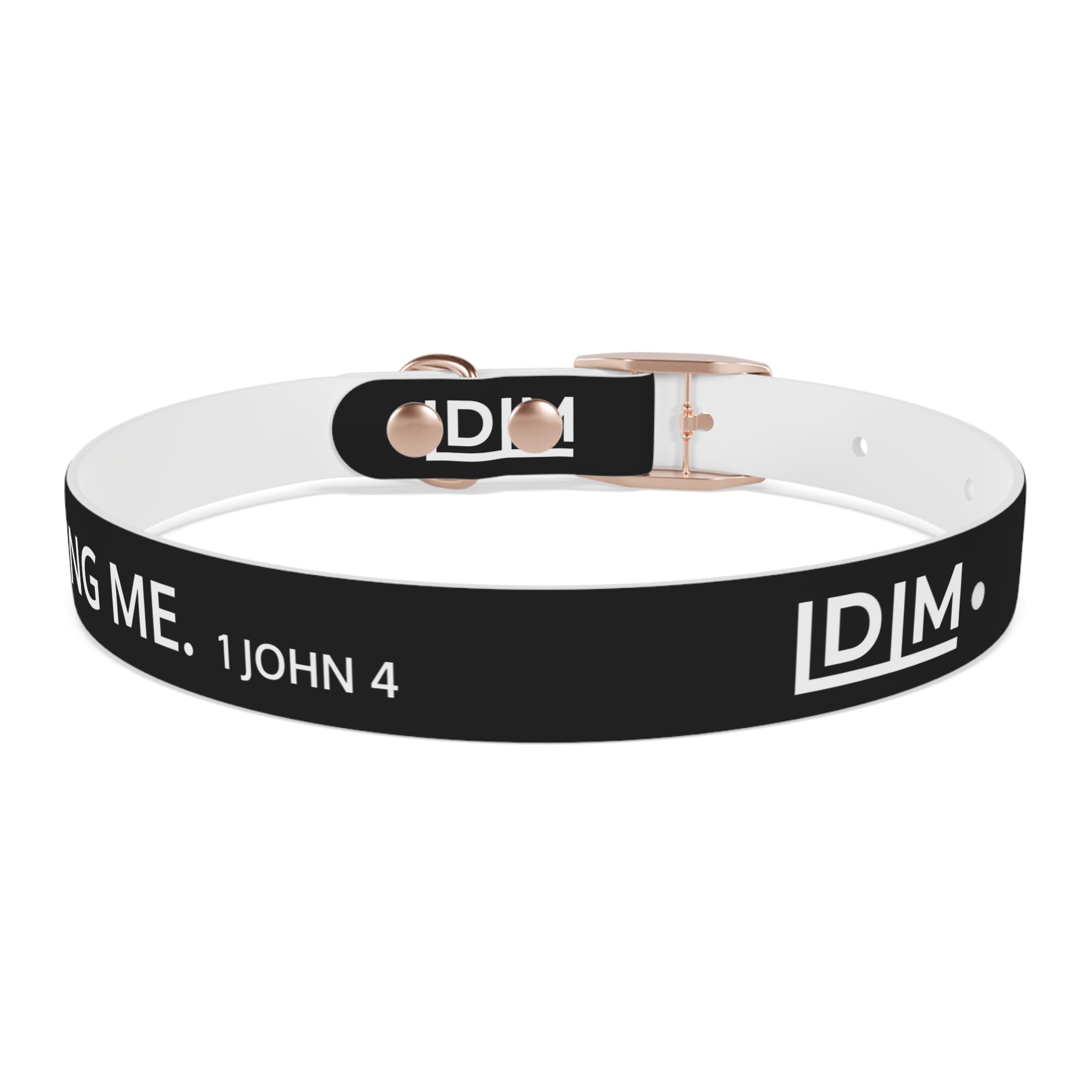 Love Died Loving Me - Black Dog Collar