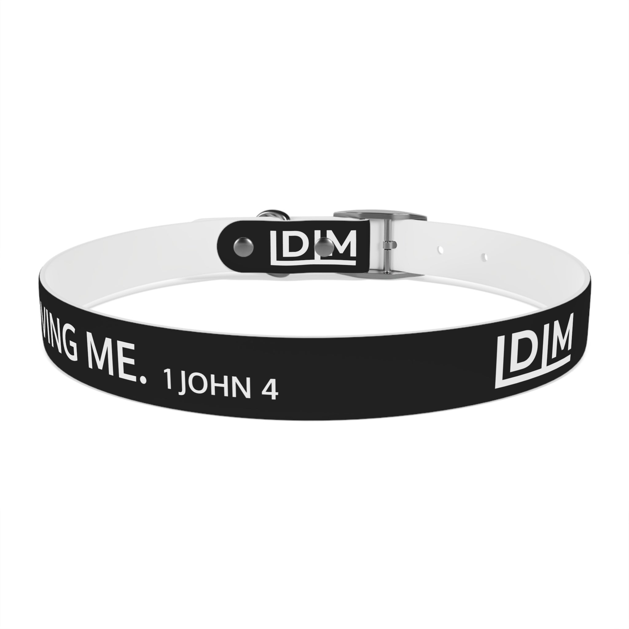 Love Died Loving Me - Black Dog Collar