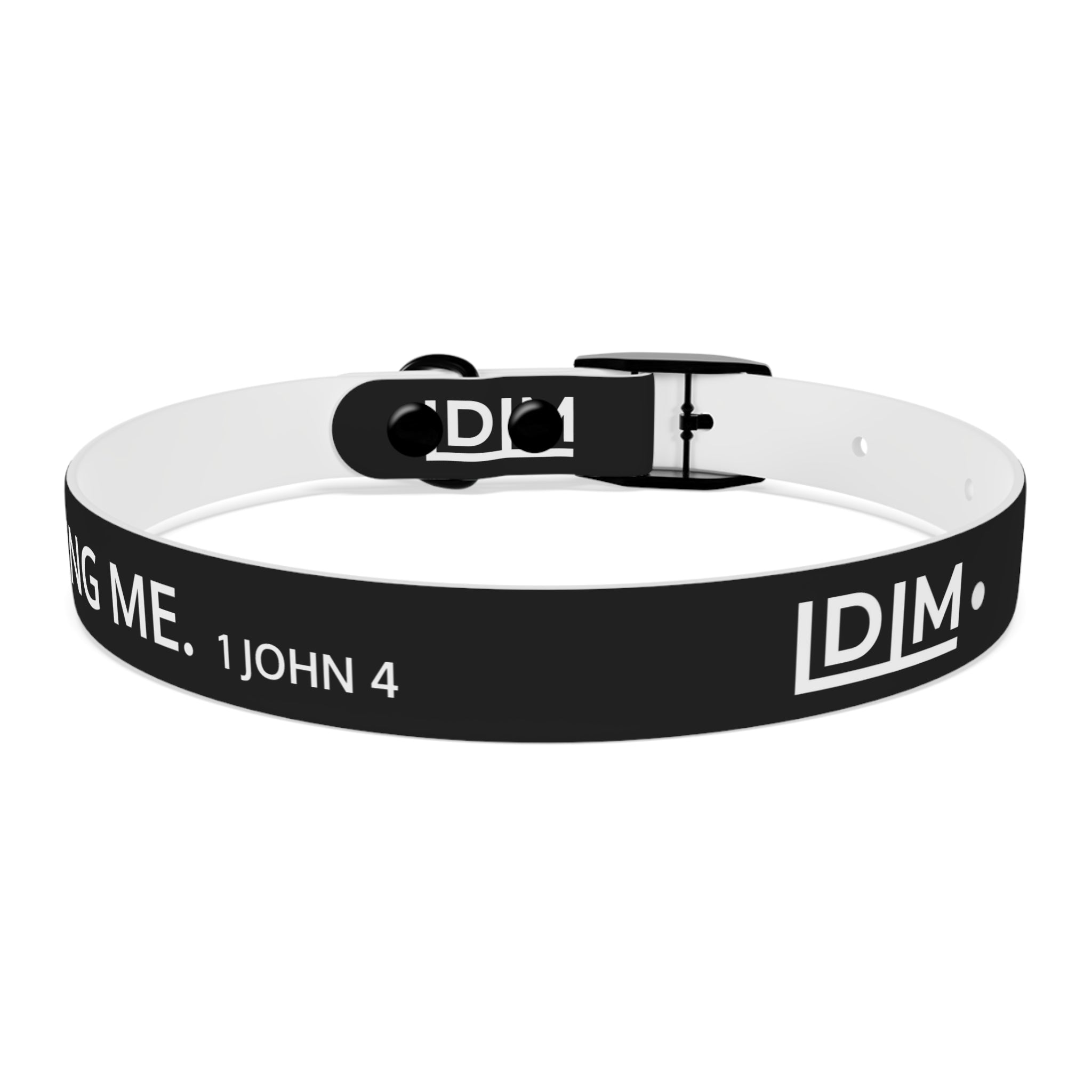 Love Died Loving Me - Black Dog Collar