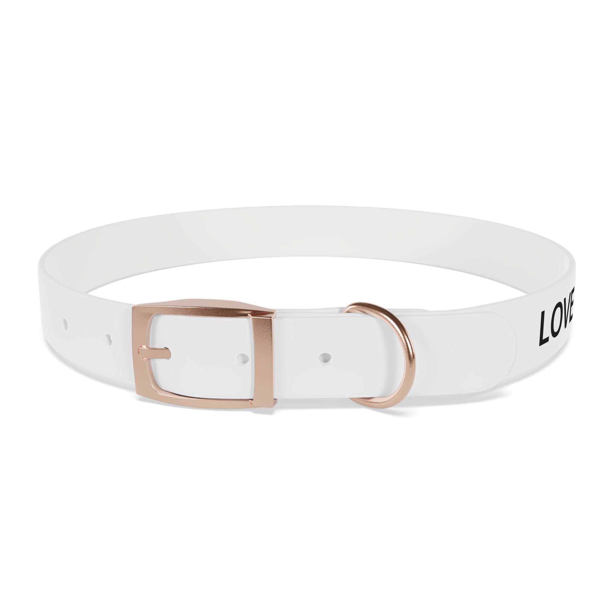 Love Died Loving Me - White Dog Collar