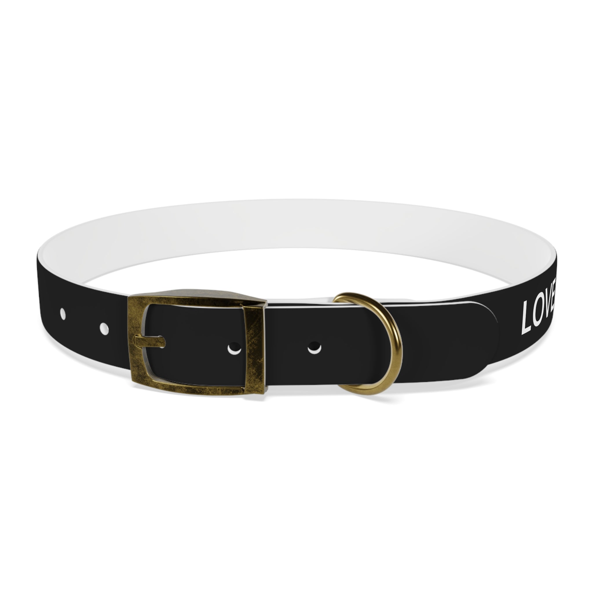 Love Died Loving Me - Black Dog Collar