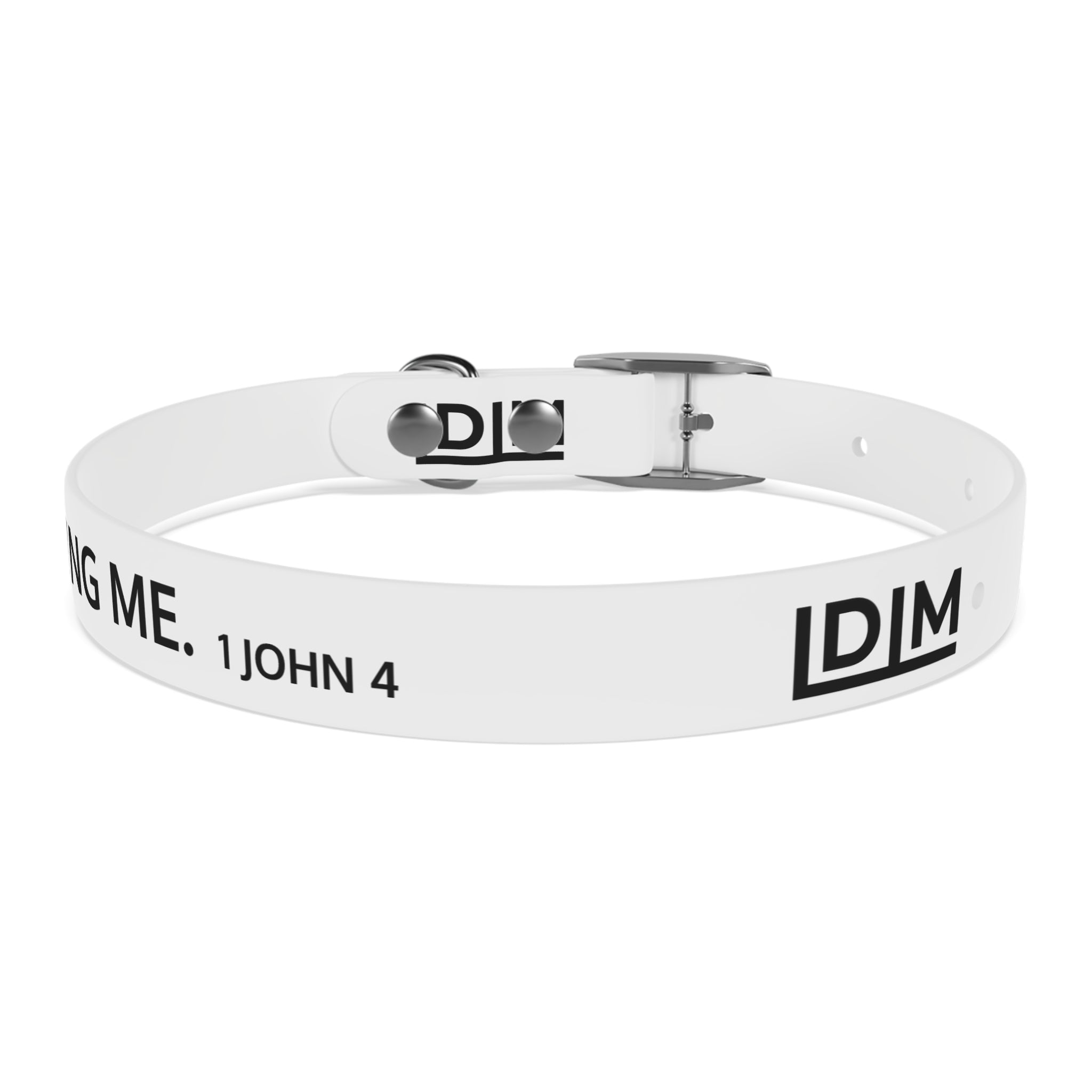 Love Died Loving Me - White Dog Collar