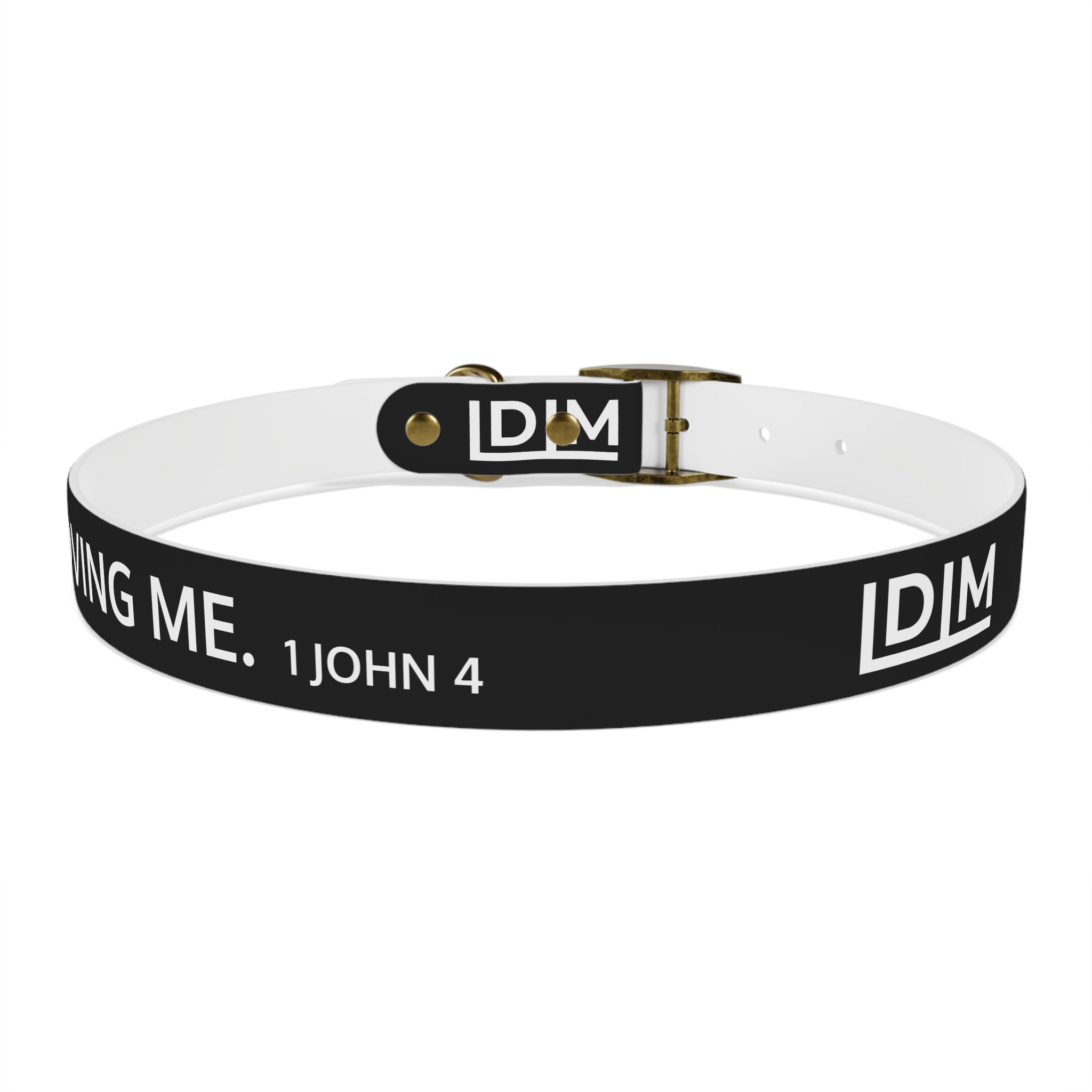 Love Died Loving Me - Black Dog Collar