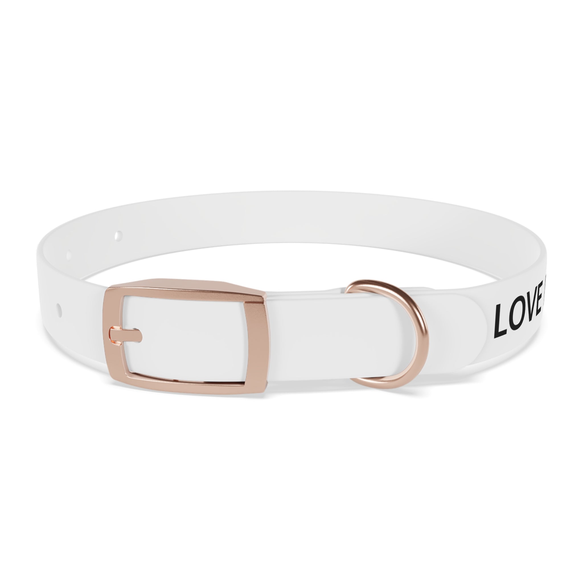 Love Died Loving Me - White Dog Collar