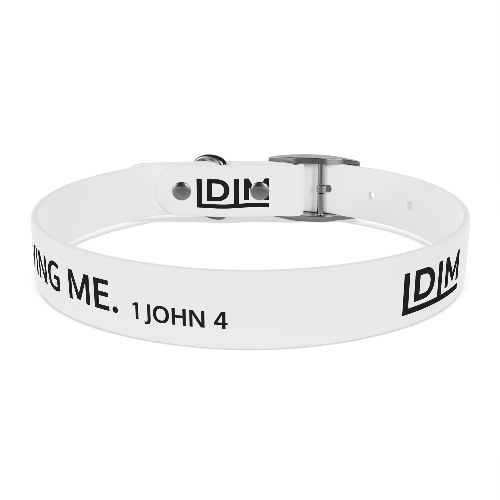 Love Died Loving Me - White Dog Collar