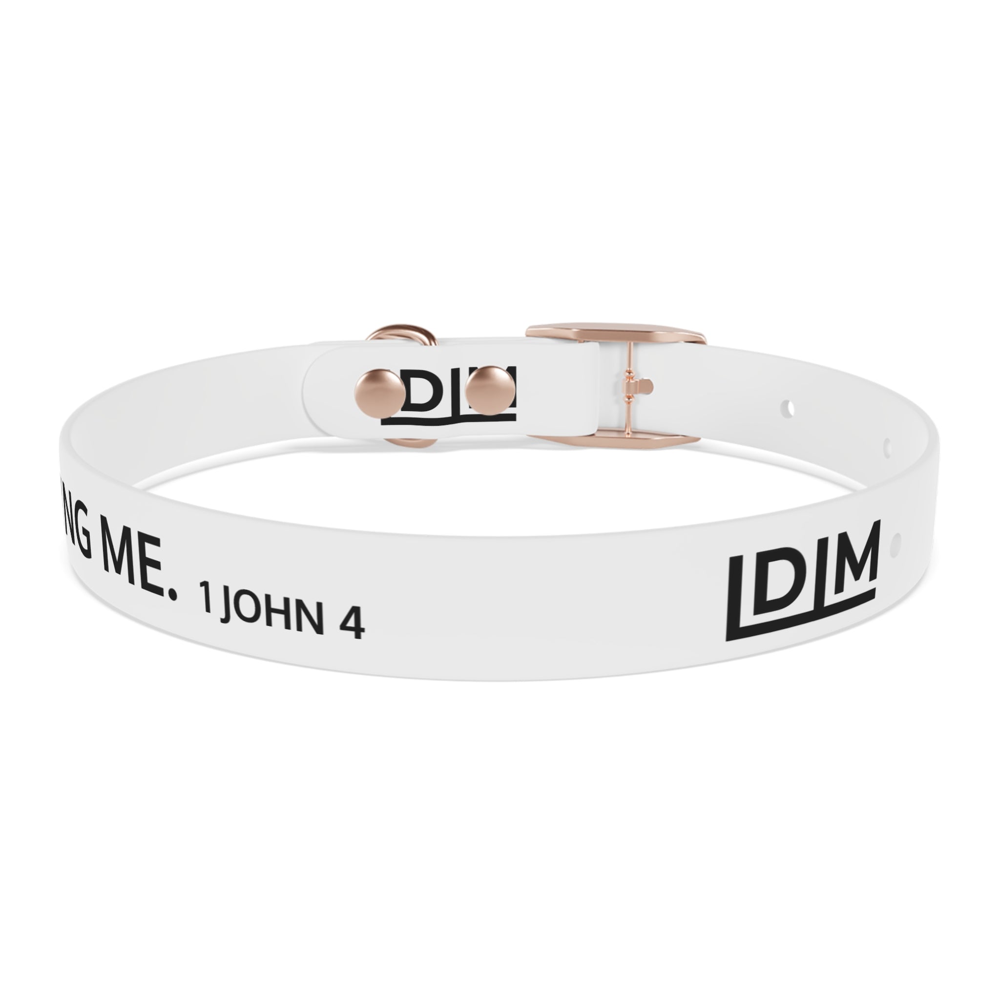 Love Died Loving Me - White Dog Collar